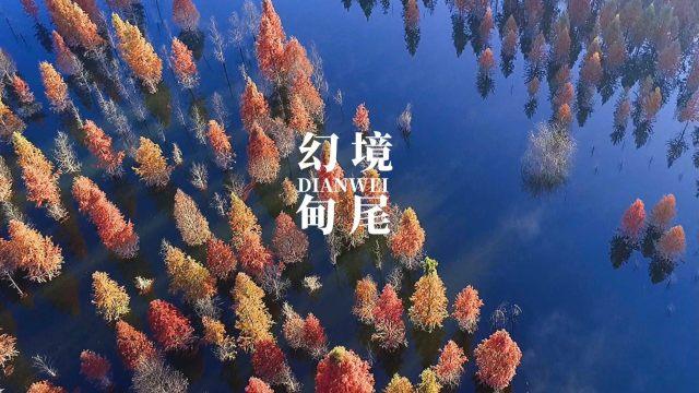 卡通汽车涂颜色