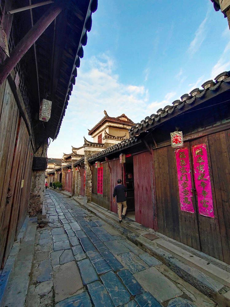 僵尸跳跳跳
